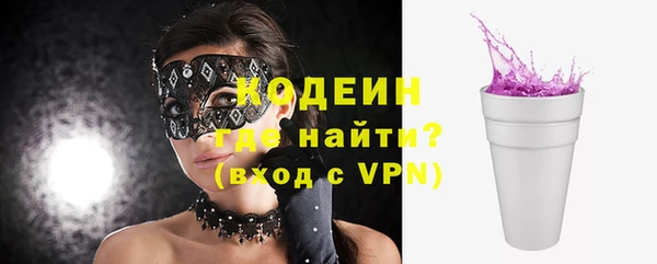 ПСИЛОЦИБИНОВЫЕ ГРИБЫ Гусь-Хрустальный