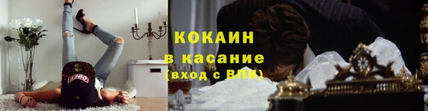 ПСИЛОЦИБИНОВЫЕ ГРИБЫ Гусь-Хрустальный
