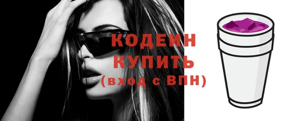 ПСИЛОЦИБИНОВЫЕ ГРИБЫ Гусь-Хрустальный