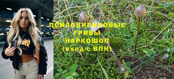 гашик Гусиноозёрск