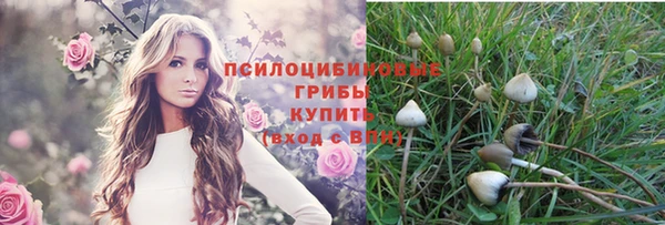 ПСИЛОЦИБИНОВЫЕ ГРИБЫ Гусь-Хрустальный