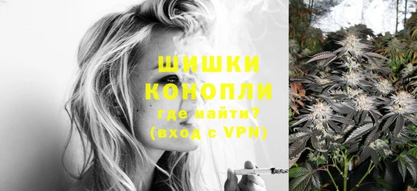 PSILOCYBIN Горняк