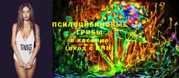 ПСИЛОЦИБИНОВЫЕ ГРИБЫ Гусь-Хрустальный