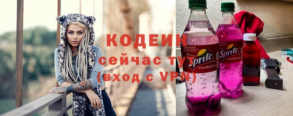 гашик Гусиноозёрск
