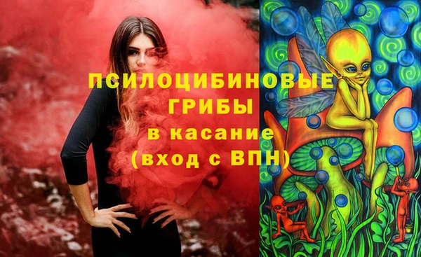 ПСИЛОЦИБИНОВЫЕ ГРИБЫ Гусь-Хрустальный