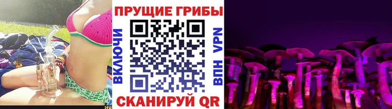 Галлюциногенные грибы Cubensis  наркотики  Назарово 